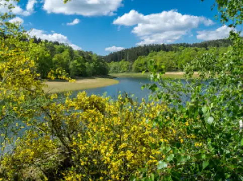 グレルタールシュペアレ