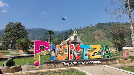 Piuntza Central Park