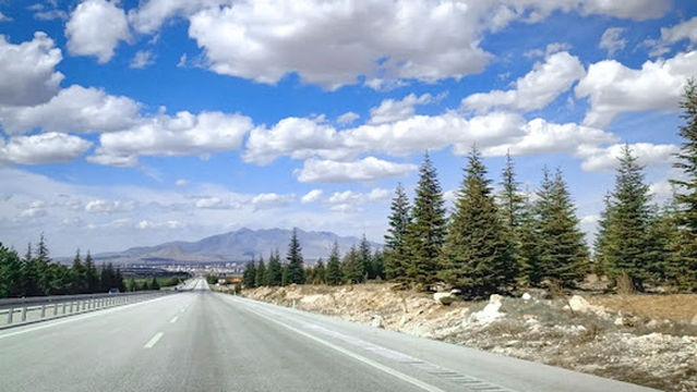 Gökçe Çamlığı Mesire Yeri