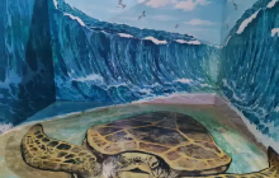 Cebu Happy World Museum