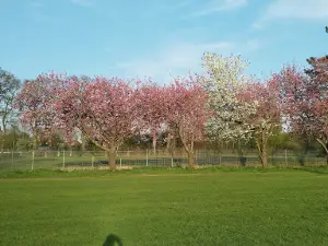 Wellenfreibad Löningen