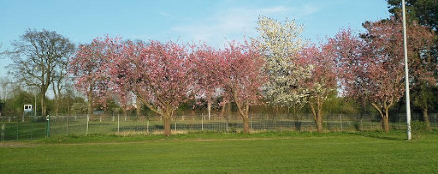 Wellenfreibad Löningen
