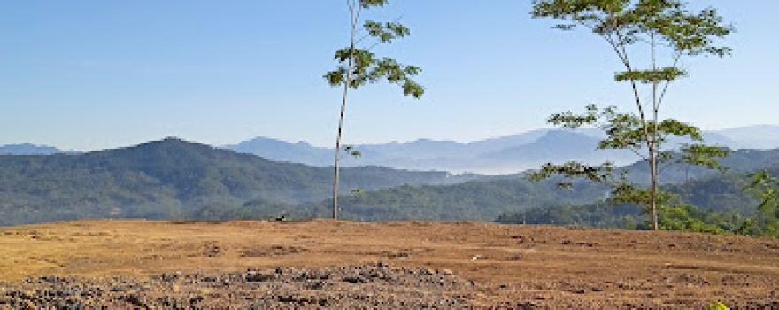 Ponjen Field Pagedongan