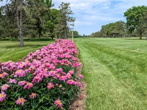 Bellwood Oaks Golf Course