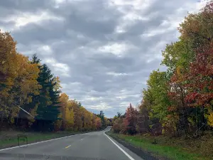 Pillsbury State Forest
