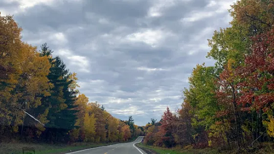 Pillsbury State Forest