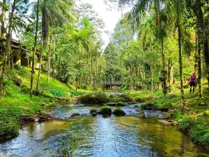 Serra da Macaca ROTA 139