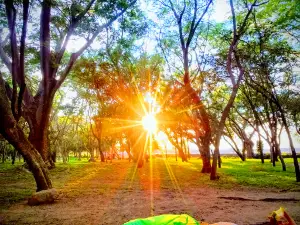 El Rodeo Park