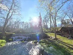 Reeds Spring Mill
