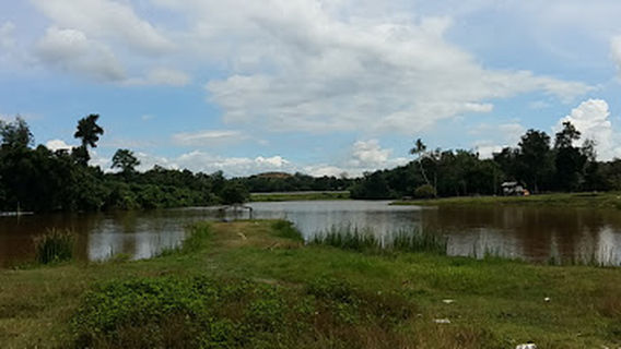 Paya Kampung Cempaka