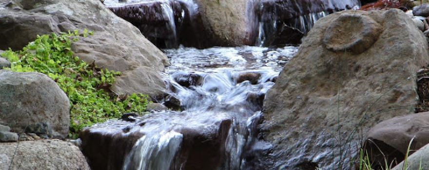 Dreamscapes Watergardens