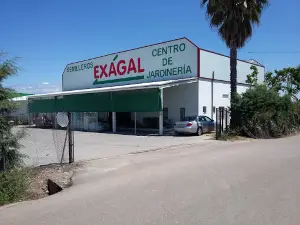 Exagal
