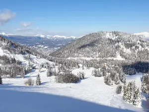 Soriška planina AlpVenture