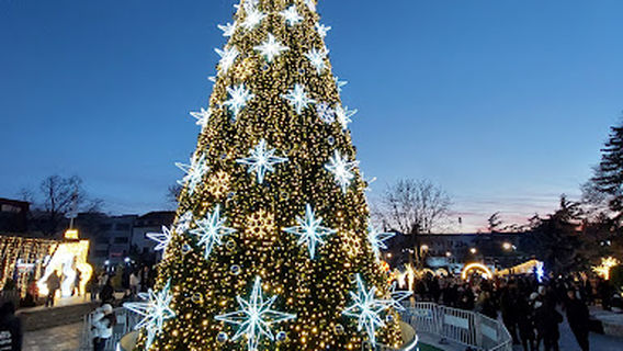 Dimitri Kipiani Garden