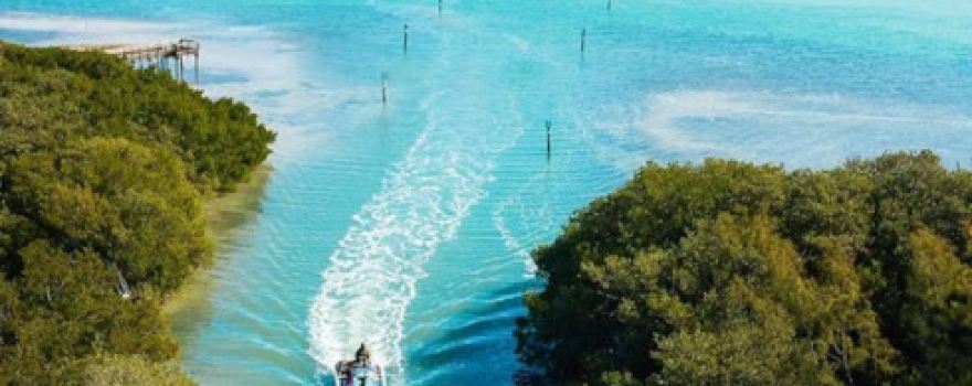 Sarasota Beach