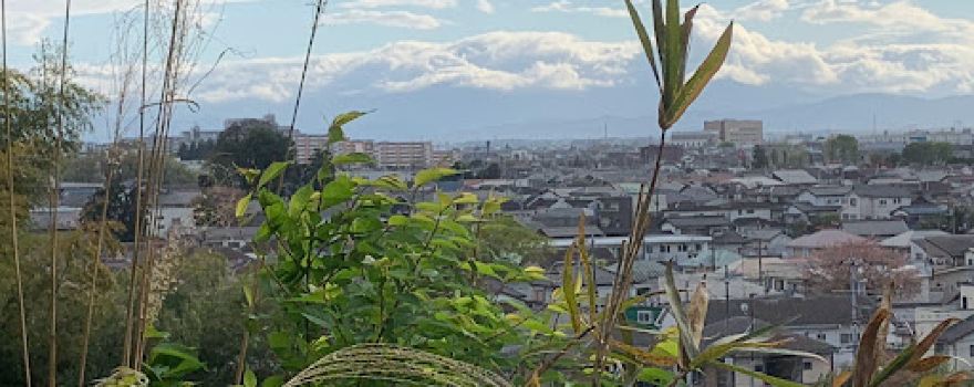 Higashiyamato Sayama green space