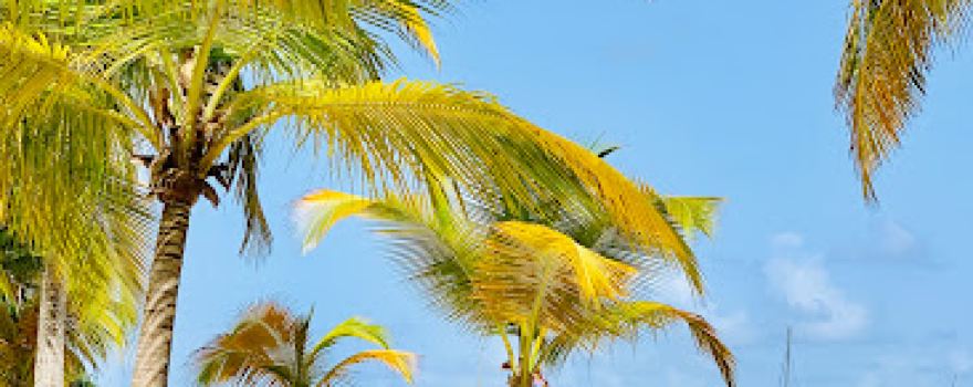 Grande-Terre