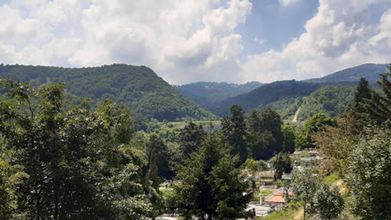 Municipality of Despotovac