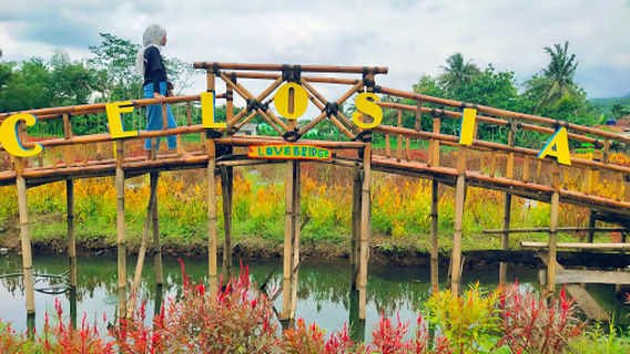 Taman Bunga Celosia Purwokerto