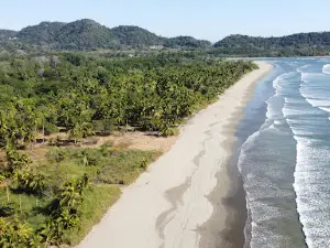 Playa Coyote