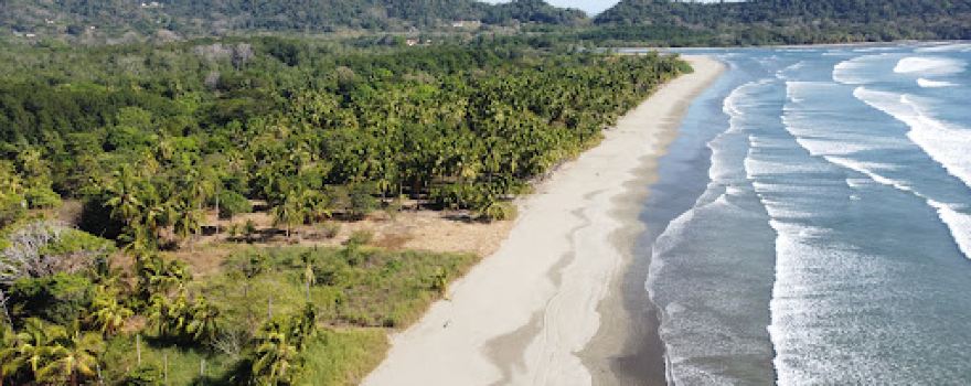 Playa Coyote