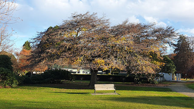 Victoria Park