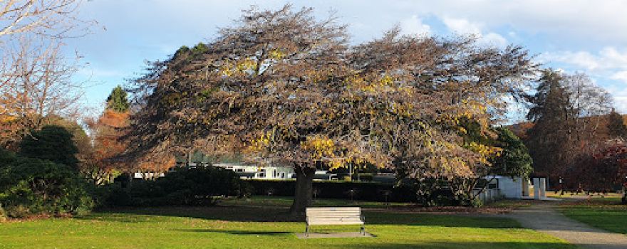 Victoria Park