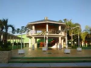 Parque Central TAMIAHUA
