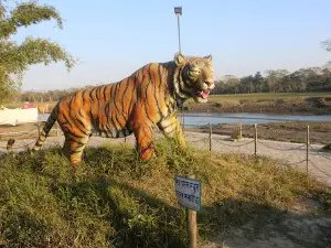 Amaltari madhwarti communitee homestay Nawalparasi