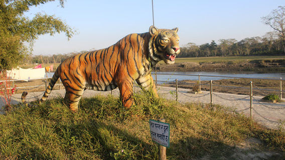 Amaltari madhwarti communitee homestay Nawalparasi