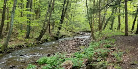 Burnt House Picnic Area