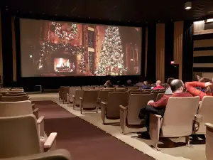 Marcus Safari Value Cinema