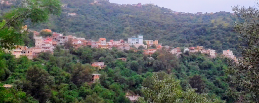 MOSQUÉE DE ARROUR