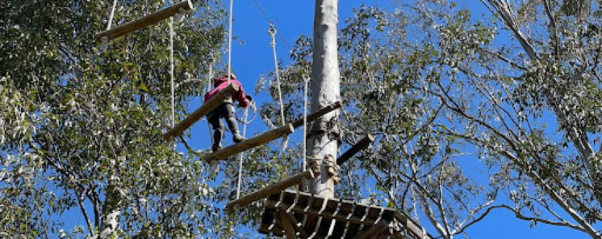 Treetops Adventure Yarramundi
