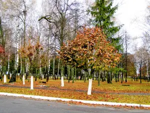 Zavodsʹkyy Park