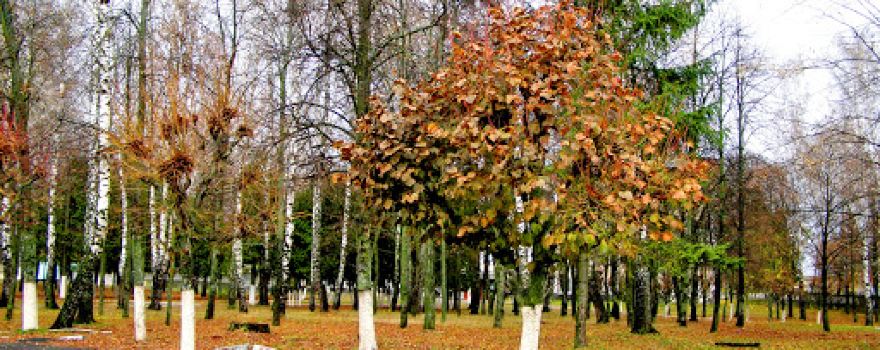 Zavodsʹkyy Park