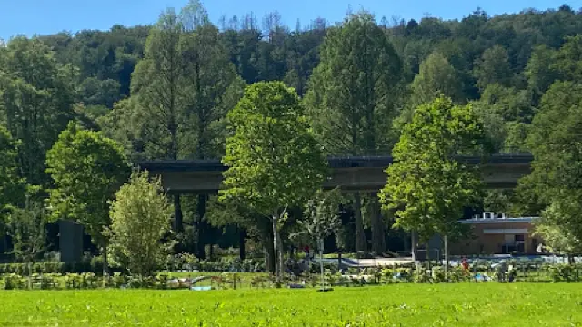 Gummersbach Travel Guide 2026: Top Attractions, Things to Do & Deals |  Trip.com | June 2026