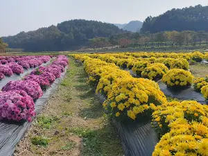 제1뿅뿅다리