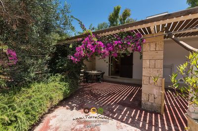 Agricampeggio & Glamping Torre Sabea