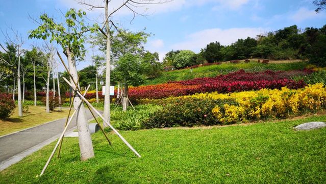 Qiongzhong Wetland Park