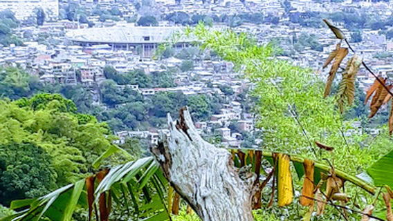 Manuel Murillo Toro Stadium