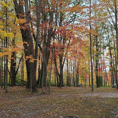 The Lost Oaks Campground