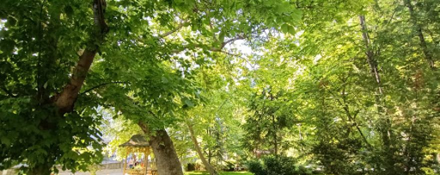 Üstün Park