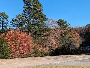 Talimena National Scenic Byway