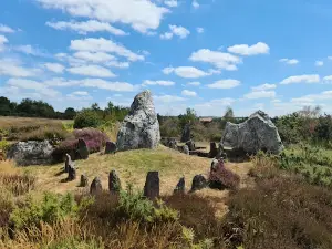 Les Landes de Cojoux - Megalithes