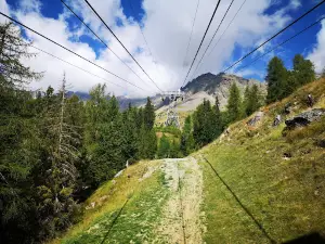 Pejo 3000