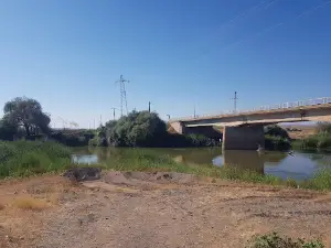 Kızılırmak Piknik Alanı