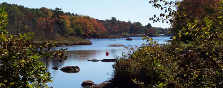 Tupper Park