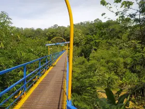 Bukit Puncak Pangonan