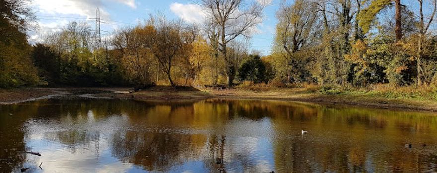 Hampden Pond